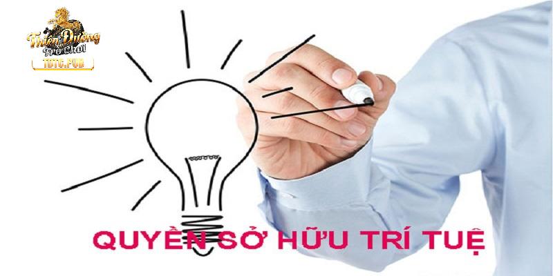 Điều khoản điều kiện chi tiết về sở hữu trí tuệ tại TDTC